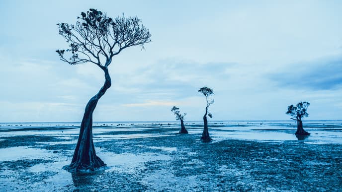 Wonderful coastal explorations