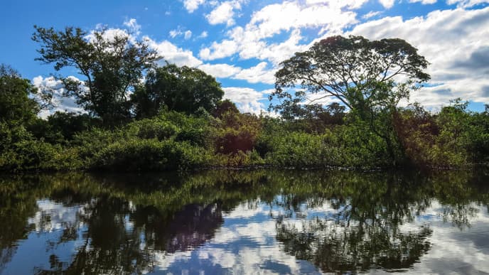 The natural riches of Madidi National Park