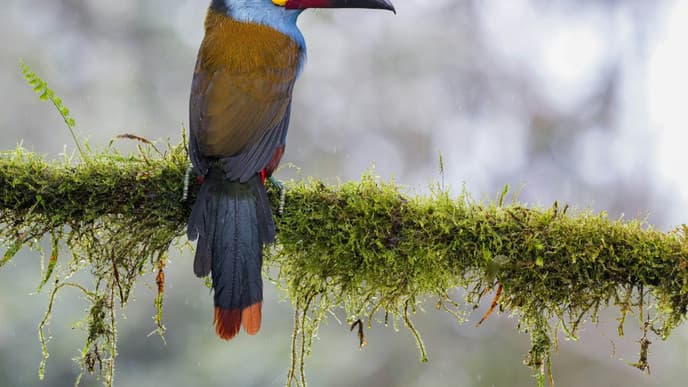 A birdwatchers paradise