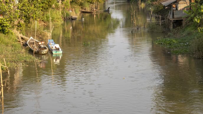 Rural bliss in the Mekong Delta