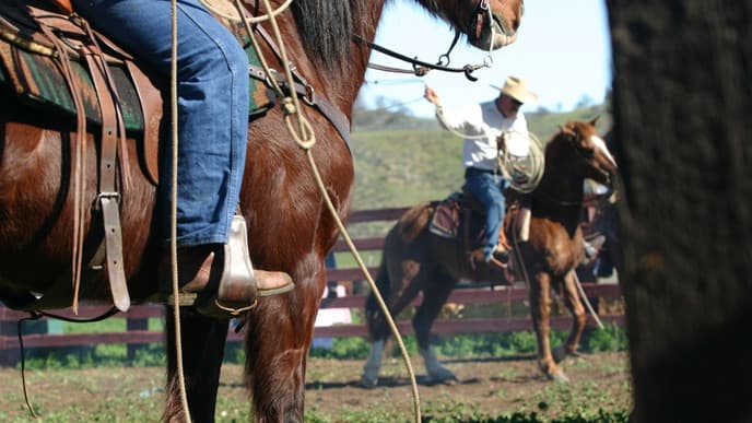 See Another Side to Argentina
