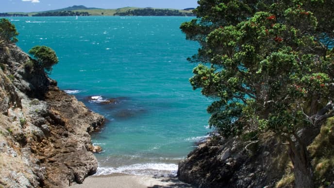 Relax in Auckland