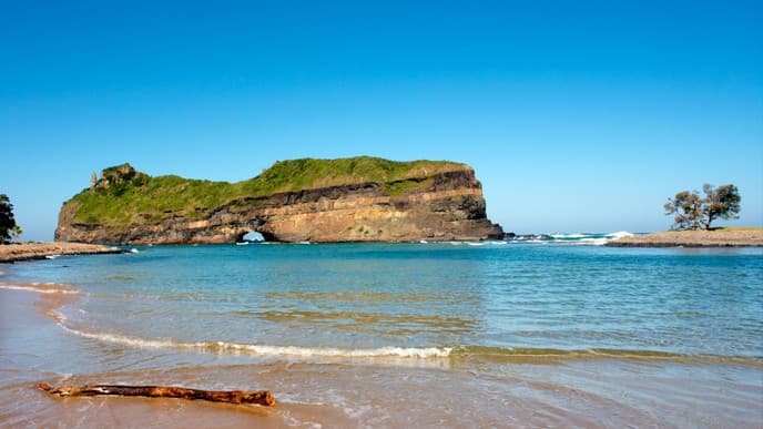 Felsen und Sardinenschwärme