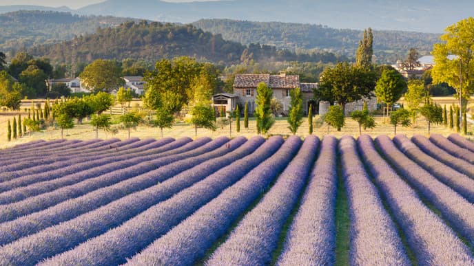 Into the heart of the beautiful Luberon