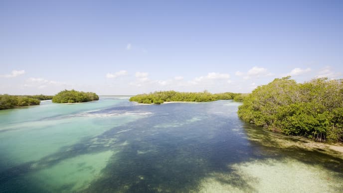 Ausflug in das Biosphärenreservat Sian Ka´an