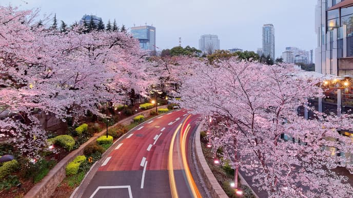 Zurück im vielseitigen Tokio