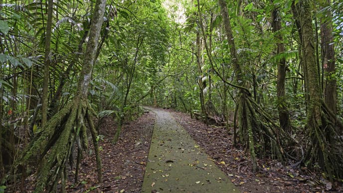 Join a flavourful cooking session