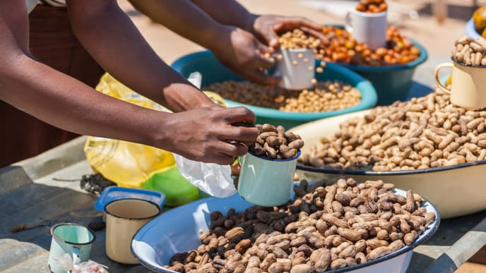 Bedeutende Handelsstadt Palapye