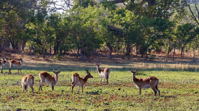 Spend Time at the Caprivi Strip
