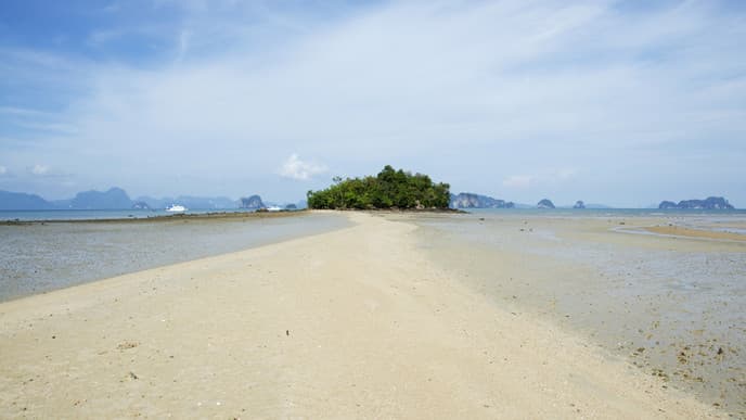 Aufregende Unterwasserwelt beim Schnorcheln