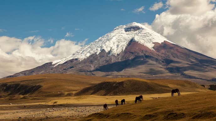 Visit Cotopaxi National Park