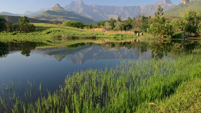 Zu den Drakensbergen