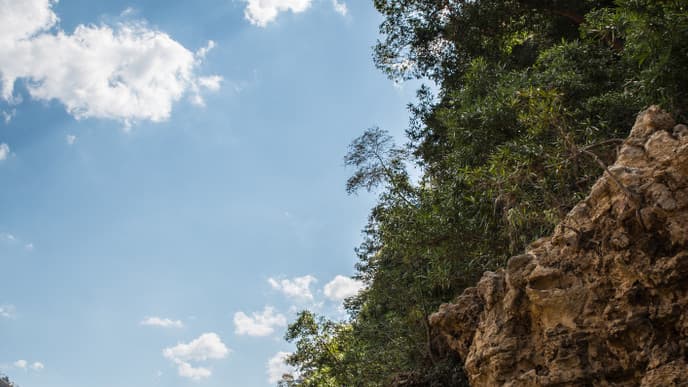 Visit The Manambolo River and Little Tsingy
