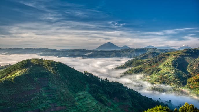 Atemberaubende Landschaften im Bwindi Impenetrable Forest