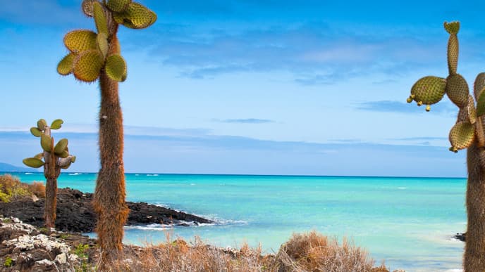 Nature walks & time on the beach
