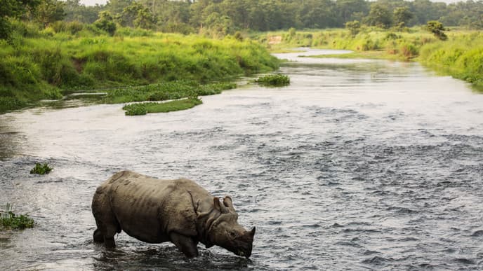 Adventure Safari In Kathmandu