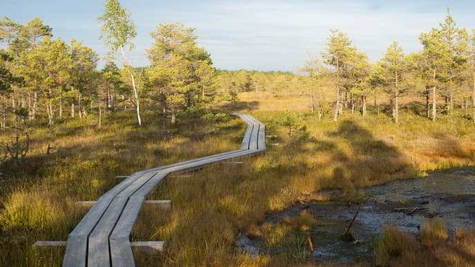 Kemeri Nationalpark