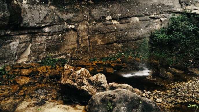 Trek Through Amboró National Forest