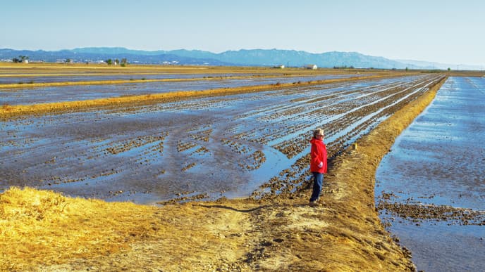 Ecocultural safari through Delta del Ebro