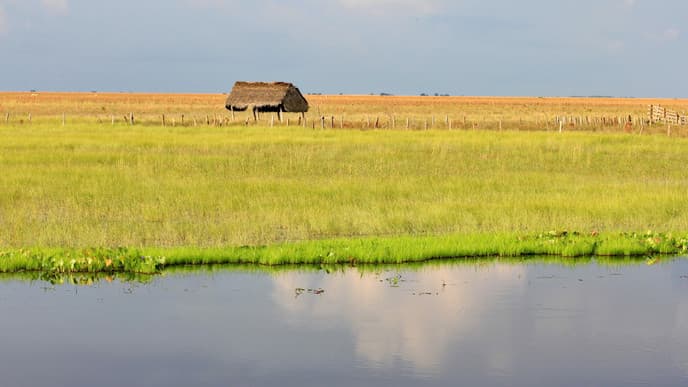 Safari adventures in Los Llanos