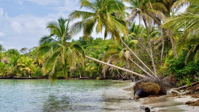 Journey to the islands of Bocas del Toro