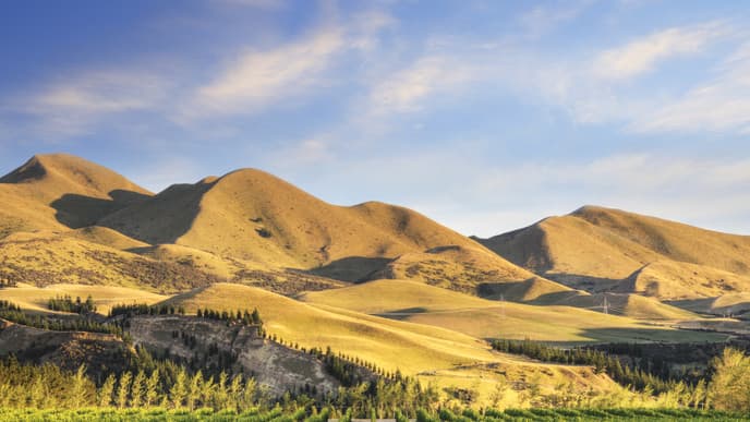 Waipara Valley wine drive