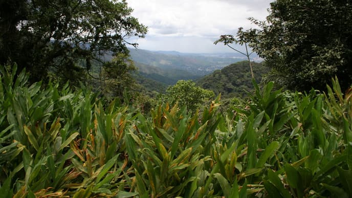 Bienvenidos - herzlich willkommen in Panama!