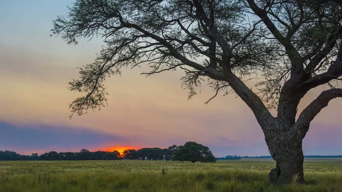 Follow in the footsteps of the first gauchos