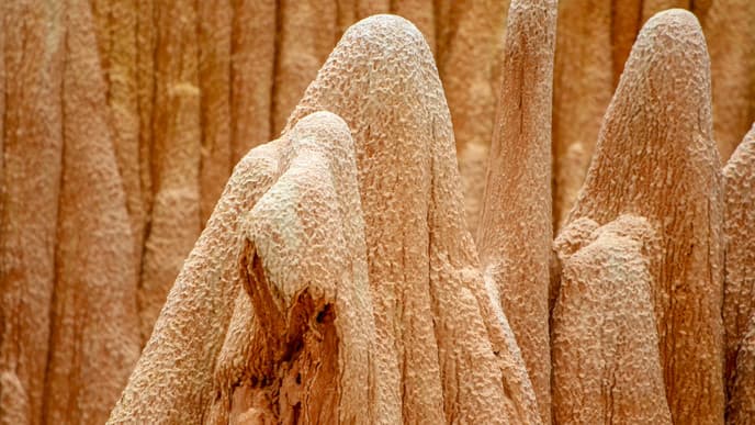 Das rote Naturwunder Madagaskars