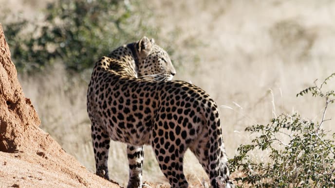 Into the Okonjima Nature Reserve