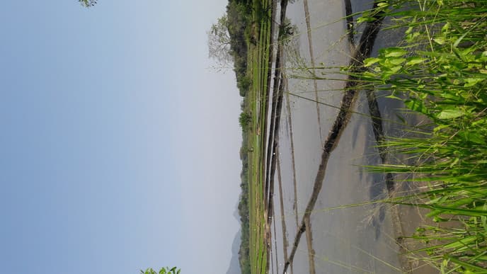 Enjoy the Village Life