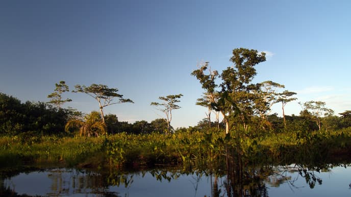 Set off for the seaside