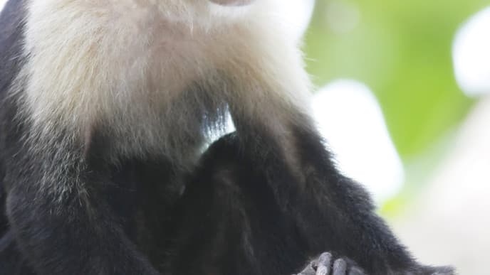 Wanderung im National Park