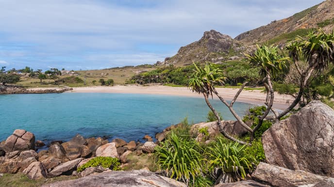 Go For A Night Coastal Rainforest Walk