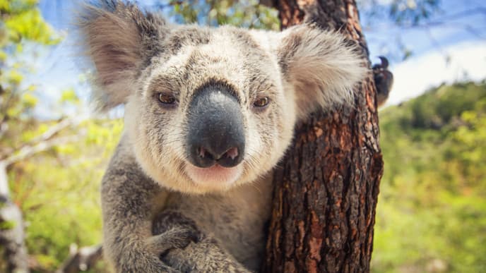 Enjoy a wildlife-rich walk