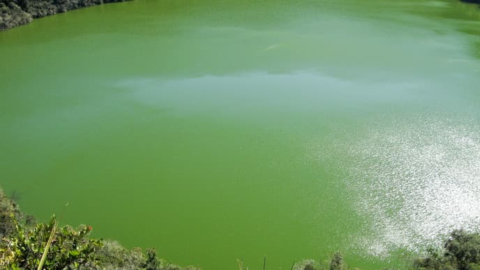 Guatavita Lake and Zipaquira´s Salt Cathedral
