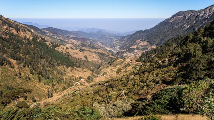 Scenic drive to a peaceful rural ranch