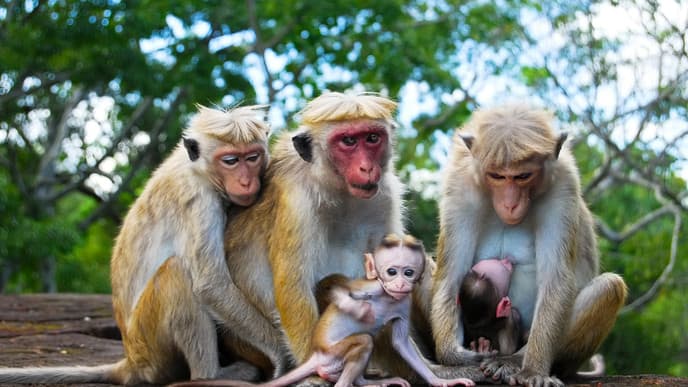 Fahrt zum Weltkulturerbe