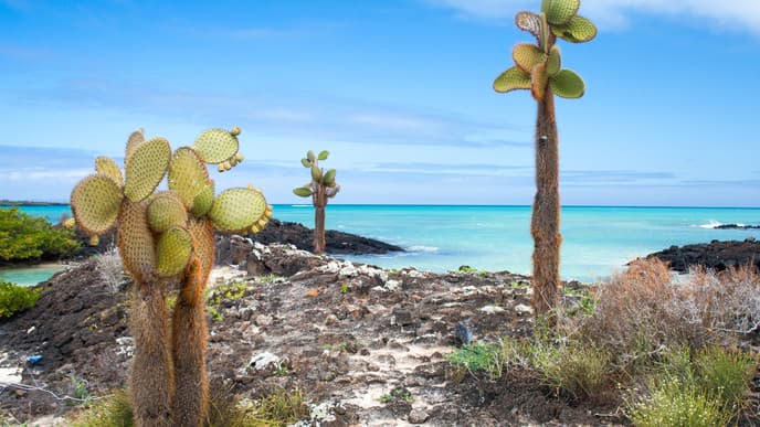 Bartolomé's volcanic wonders