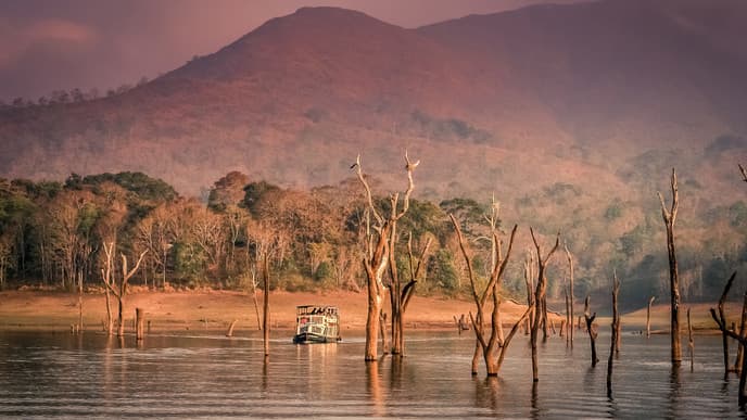 Back-to-nature explorations in Thekkady