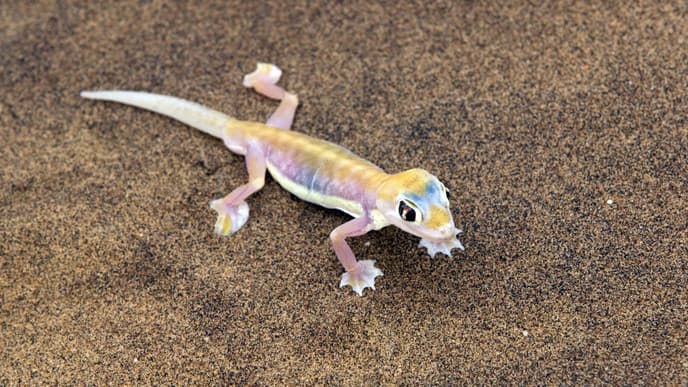 Das Leben in der Küstenstadt