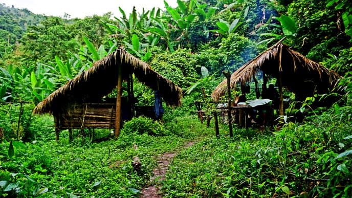 3-Tages-Trek im Nam Ha NPA: Dschungelcamp
