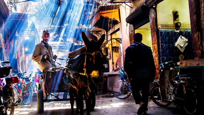 Explore the exotic beauty of Marrakech