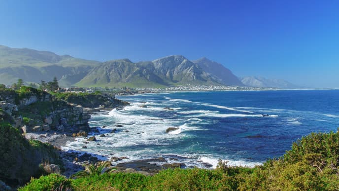 Journey to the Whale Coast