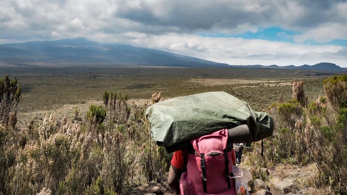 Vom Wald zum Vulkankegel