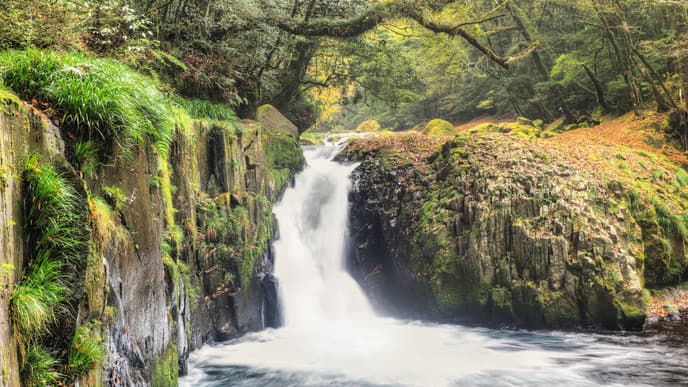 Into a world of forests & volcanoes