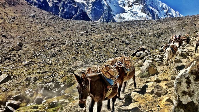 Start des Salkantay-Treks