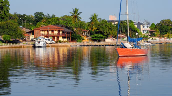 Stadtbild mit Mangobäumen & Kolonialhäusern
