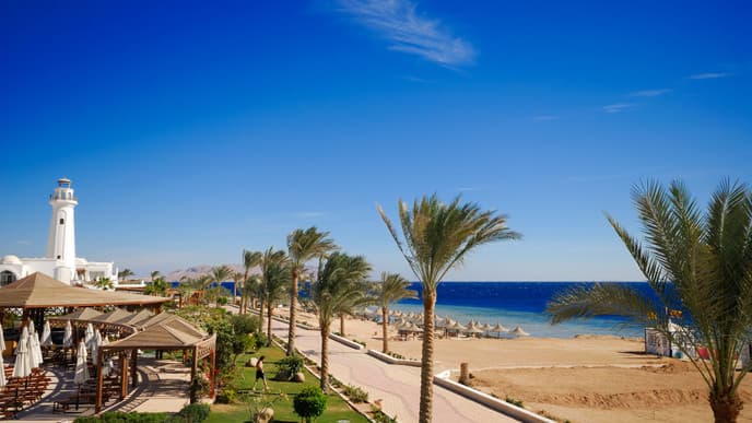 Goodbye, Egypt!