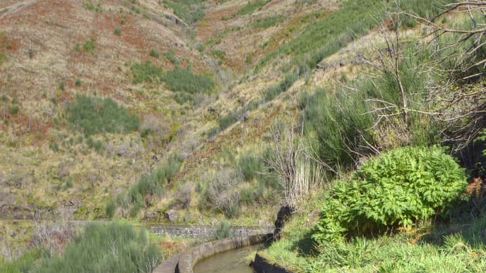 Entspannte Wanderung zur Levada dos Prazeres